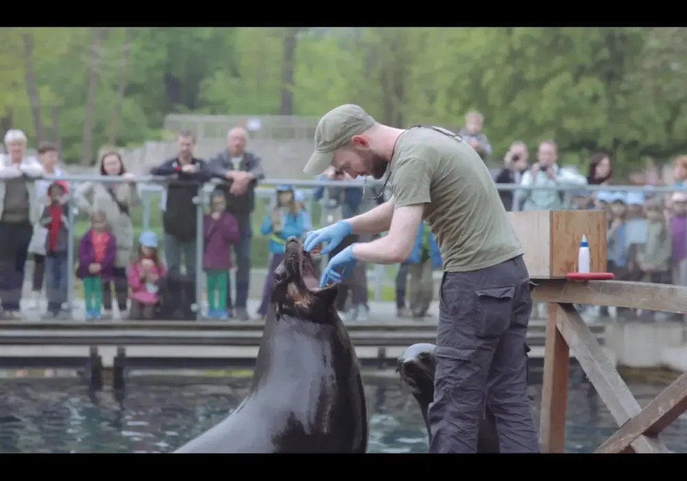 Ile zarabia pracownik zoo? Zaskakujące fakty o wynagrodzeniach