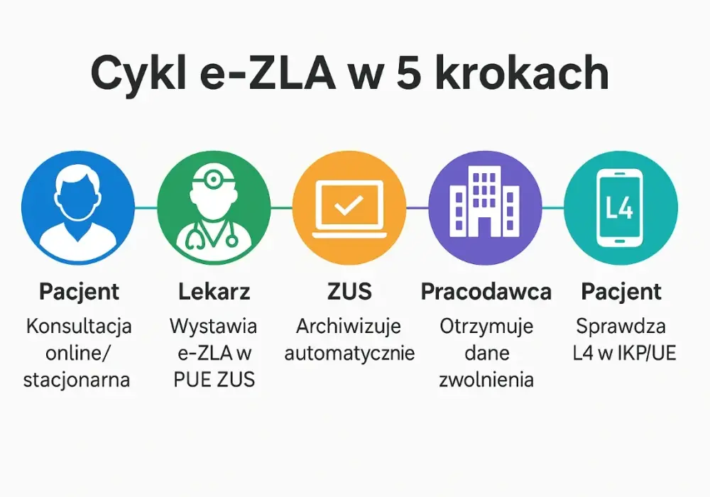 Gdzie sprawdzić L4 - IKP, PUE/eZUS i co widzi pracodawca?