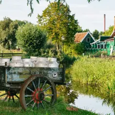 Stary wóz z bańkami mleka, zielone domy i kanał. Tak wygląda praca w Holandii, gdzie tradycja spotyka się z naturą.