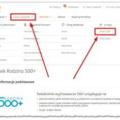 Przycisk "Rodzina 500+" w menu "Usługi i narzędzia" bankowości ING. Wniosek o świadczenie wychowawcze 500+.