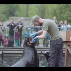 Ile zarabia pracownik zoo? Zaskakujące fakty o wynagrodzeniach