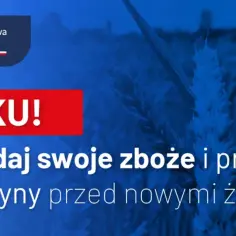 Rolniku! Sprzedaj swoje zboże i przygotuj magazyny przed nowymi żniwami! Ministerstwo Rolnictwa i Rozwoju Wsi informuje o dopłatach do zboża.