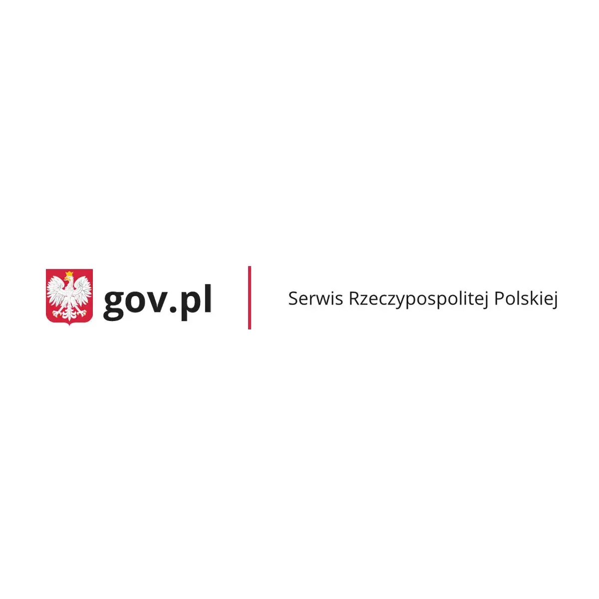 Zdjęcie Jak wypełnić ZUS Z-10 po ustaniu zatrudnienia, aby uniknąć błędów