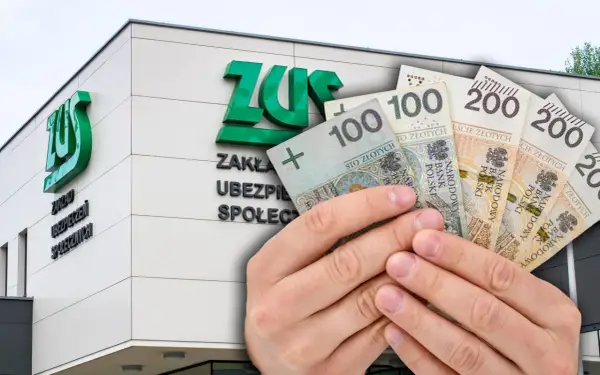 Wniosek 800 plus - jak złożyć i dostać pieniądze?