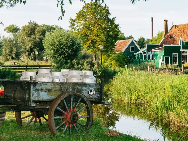 Praca w Holandii - Kompletny przewodnik bez pułapek